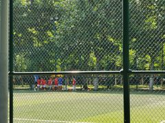 -南京奥林匹克体育中心-体育馆