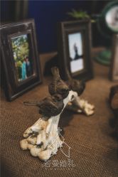 -西安威斯汀大酒店·宴会厅