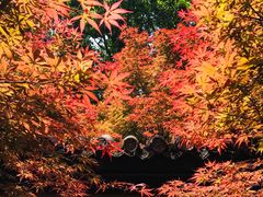 -成都杜甫草堂博物馆