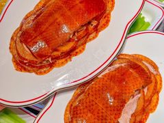 -秀儿四九城·新京菜(亚运村鸟巢店)