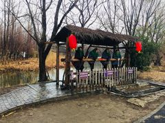 -溱湖国家湿地公园