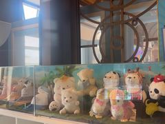 -童趣廊·儿童波波池·海洋球(长隆横琴湾酒店)