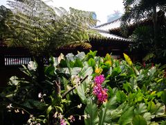 -新加坡佛牙寺龙华院