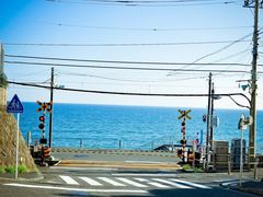 -镰仓 峰本(八幡宫前本店)