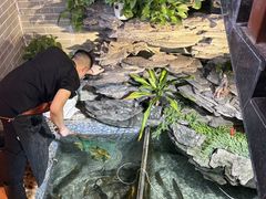 -山水茶艺馆·点心粤菜·30年老字号