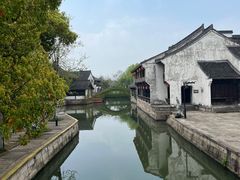 -鲁镇