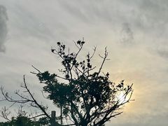 -杨梅坑