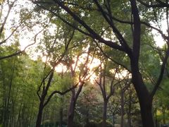 -黄兴公园