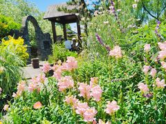 -上海共青森林公园