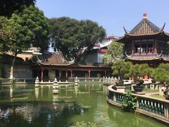 -碧江金楼
