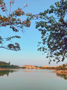 海仔湖公园-"因为春节假期 和家人朋友带着小朋友们 .