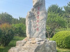 -云岗森林公园