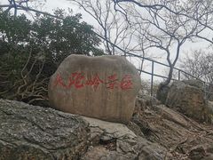 -紫金山山顶公园