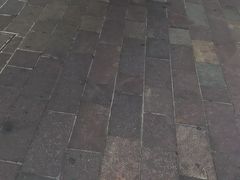 -蒙特拿破仑大街