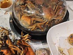-半岛听涛蒸汽海鲜自助(K11店)