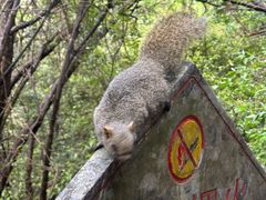 -苍山感通索道