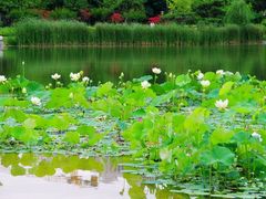 -木塔寺遗址生态公园