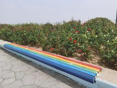 -贡湖湾湿地公园