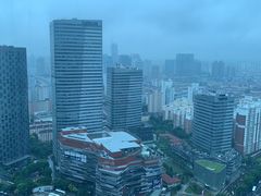 -上海龙之梦万丽酒店