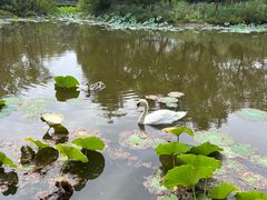 -沈阳鸟岛
