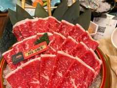 -牛New寿喜烧(金鹰世界店)