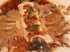 -三强鸽子(中原路店)