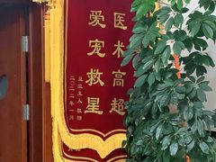 -宠颐生中康贝怡动物医院