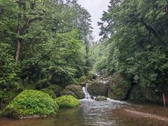 -龙苍沟森林公园