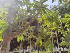 -天河儿童公园