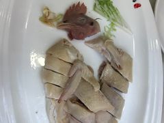 -清心鸡沙田乳鸽店·非遗传承(粤垦路店)
