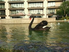 -行者书屋大堂吧 ·下午茶(南京圣和府邸酒店)