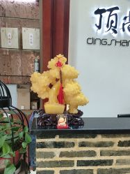 -顶尚堂白发脱发养发
