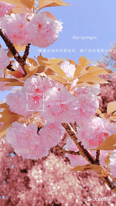 诺贝尔湖公园图片