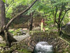 -白云源风景区