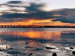 -宝安西湾红树林湿地公园