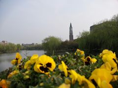-华东政法大学(松江校区)