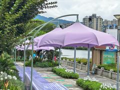 -光明港公园