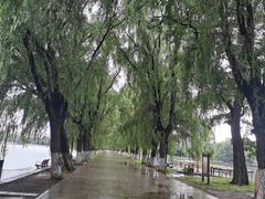 -北陵公园