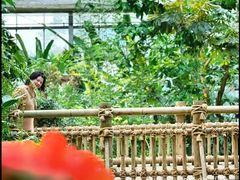 -华南国家植物园-售票处