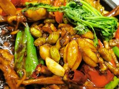 生焗石蛙烧鸭舌-金哥私房菜馆(张府园总店)