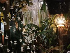 -Jungle Kitchen