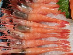 -樱之盛宴·蟹料理海鲜自助(前进大街店)
