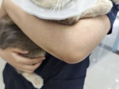 -全心全意连锁动物医院·微创中心·内科急重症·心脏专科(丰管路店)