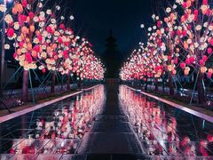 -龙华寺