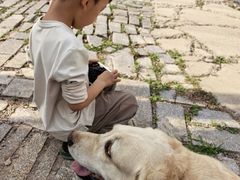 -美联众合爱康动物医院•复杂内科•肿瘤科•牙科•腔镜诊疗中心
