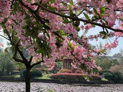 -四川大学(望江校区)