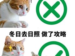 -巧克力渔家.小船海鲜家常菜(万平口店)