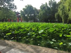-四川大学(望江校区)