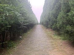 -秦始皇帝陵博物院-丽山园