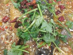 -听涛雅苑百味饺子老家菜馆
